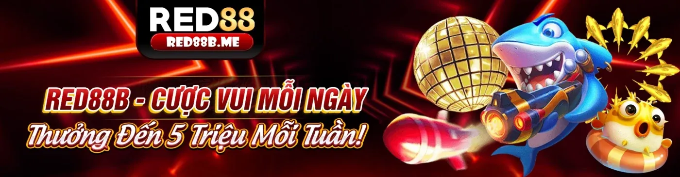 Đá gà trực tuyến kịch tính tại QC6672 hiện đang mở 2026