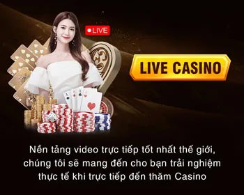Hướng dẫn cá cược chi tiết